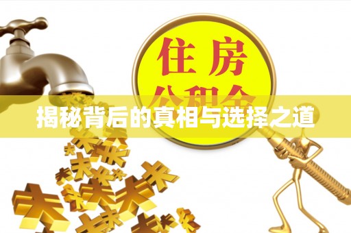 宣恩揭秘背后的真相与选择之道